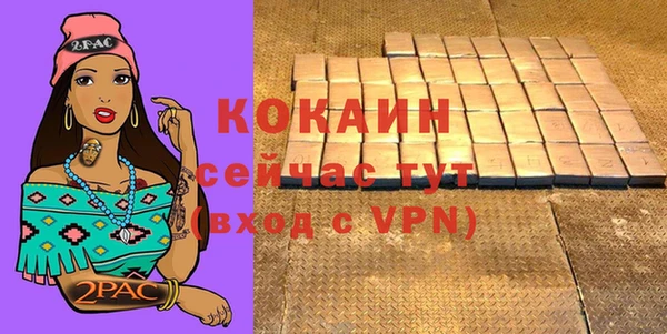 гашик Коряжма