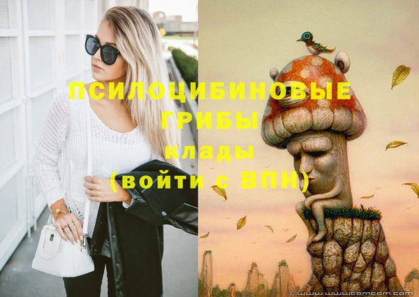 герыч Козельск