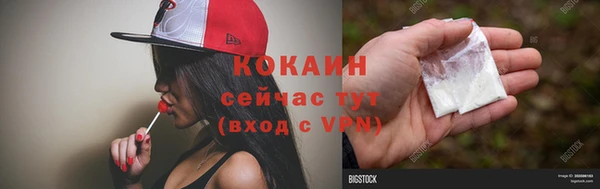 гашик Коряжма