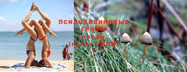 молекула духа Протвино