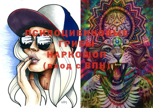 герыч Козловка